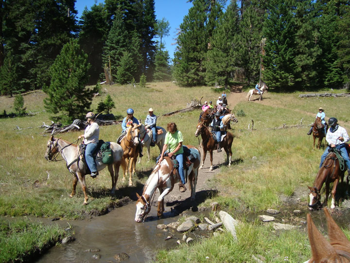 Find the Best Trails | Oregon Equestrian Trails