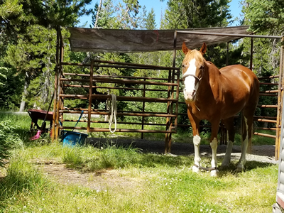 Equestrian camping outlet