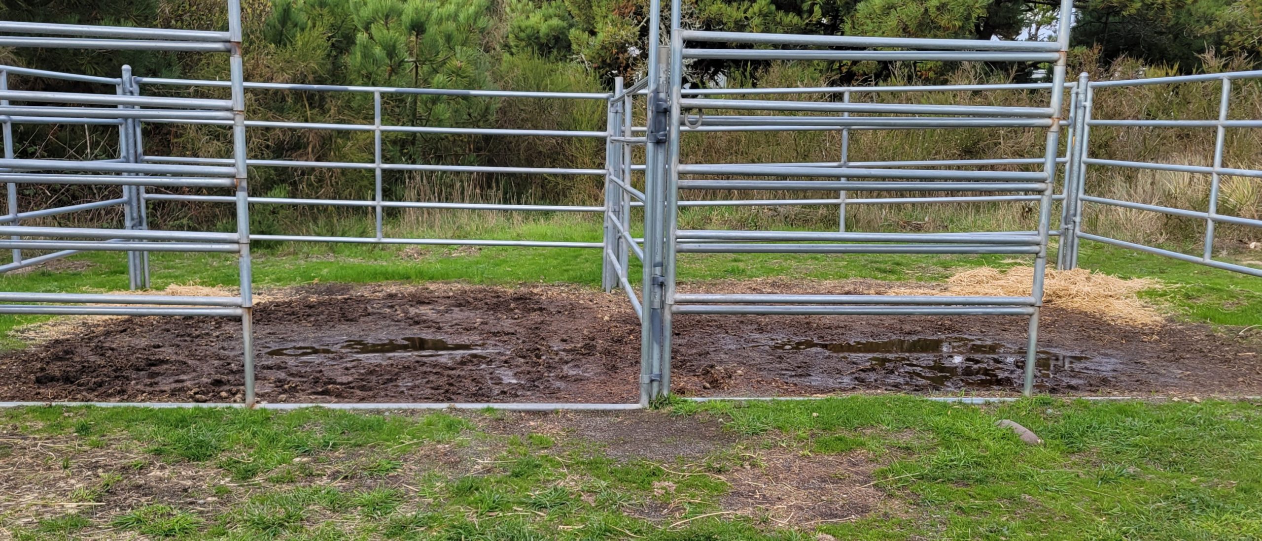 metal-corrals-at-Nehalem-Bay-1 | Oregon Equestrian Trails